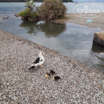 фото из отзыва ID 2075514