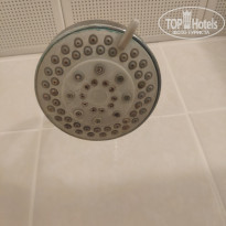 фото из отзыва ID 2075944