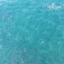 фото из отзыва ID 2076224