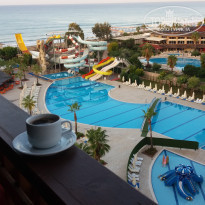 фото из отзыва ID 2076224