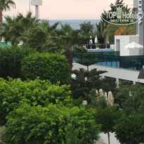 фото из отзыва ID 2076527