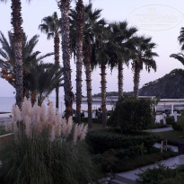 фото из отзыва ID 2076570