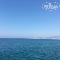 фото из отзыва ID 2076531