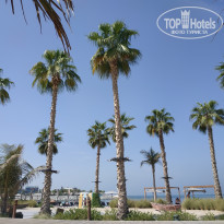 фото из отзыва ID 2076560