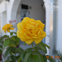 фото из отзыва ID 2076620