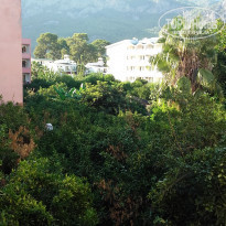 фото из отзыва ID 2075003