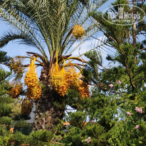 фото из отзыва ID 2076776