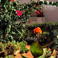 фото из отзыва ID 2076822