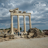 фото из отзыва ID 2076814