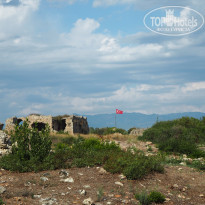 фото из отзыва ID 2076814