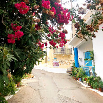 фото из отзыва ID 2076822