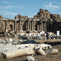 фото из отзыва ID 2076814