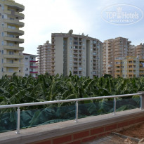 фото из отзыва ID 2076861