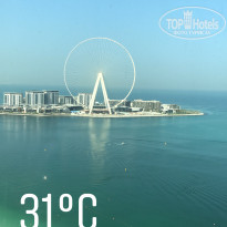 фото из отзыва ID 2076885