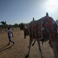 фото из отзыва ID 2076246