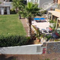 фото из отзыва ID 2076483