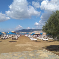 фото из отзыва ID 2077021