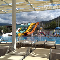 фото из отзыва ID 2077021