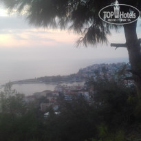 фото из отзыва ID 2077008