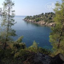 фото из отзыва ID 2077008