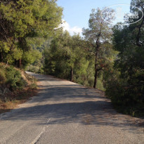 фото из отзыва ID 2077008