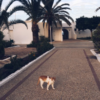 фото из отзыва ID 2077092