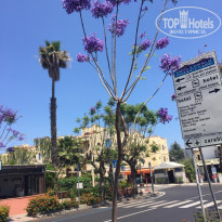 фото из отзыва ID 2077211