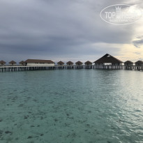 фото из отзыва ID 2077288