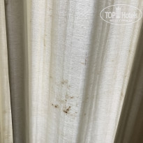 фото из отзыва ID 2073670