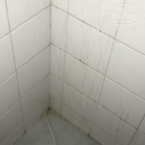 фото из отзыва ID 2073670