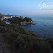 фото из отзыва ID 2077318