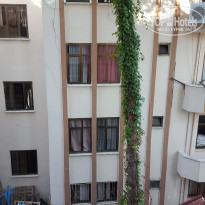 фото из отзыва ID 2077369