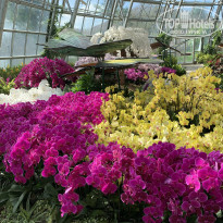 фото из отзыва ID 2077321