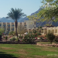 фото из отзыва ID 2077465