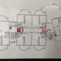 фото из отзыва ID 2077397