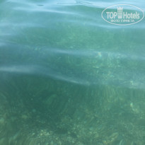 фото из отзыва ID 2077397