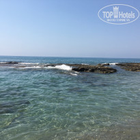 фото из отзыва ID 2077397