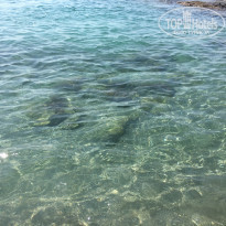 фото из отзыва ID 2077397