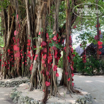 фото из отзыва ID 2077506