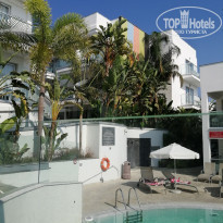 фото из отзыва ID 2077549