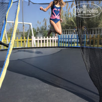 фото из отзыва ID 2077531