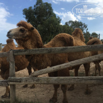 фото из отзыва ID 2077536