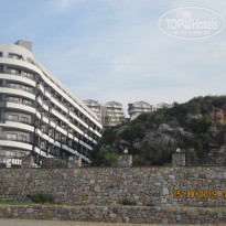 фото из отзыва ID 2077711