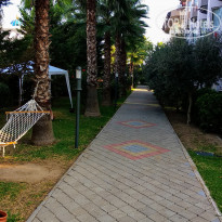 фото из отзыва ID 2077666