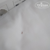 фото из отзыва ID 2077747