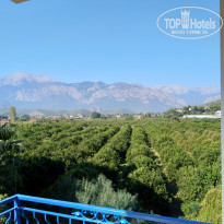 фото из отзыва ID 2077784