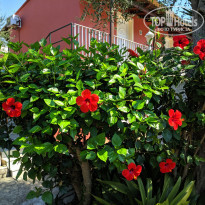 фото из отзыва ID 2077802