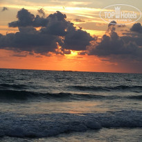 фото из отзыва ID 2074790