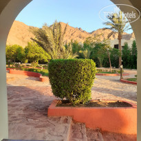 фото из отзыва ID 2077888