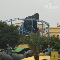 фото из отзыва ID 2077914